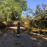 Maltempo: danni a Serra de' Conti