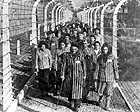 Campo di concentramento e internati della shoah nazista Campo di concentramento e internati della shoah nazista