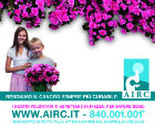 12 maggio: giornata AIRC dell'Azalea della Ricerca