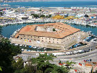 Molevanvitelliana