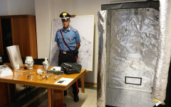 I materiali posto sotto sequestro dopo l'arresto per produzione di marijuana a Senigallia