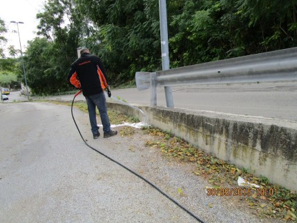 Estirpazione erbe ad Ancona