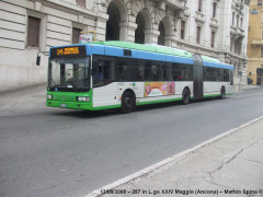autobus, trasporto pubblico locale ad Ancona