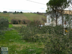 Il luogo dell'incidente agricolo a Sant'Angelo di Senigallia