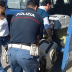 Sequestrati 15 cani detenuti per ore all'interno di “trasportini” stipati in un autoveicolo sbarcato da una nave proveniente dall'Albania