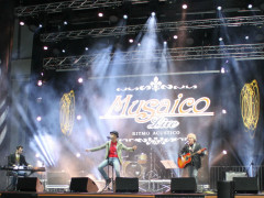 Musaico