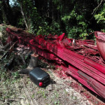 Gli agenti della Stazione forestale del Conero nei giorni scorsi hanno sequestrato 20 tonnellate di lastre di amianto abbandonate in un'area rurale nel territorio comunale di Numana
