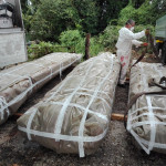 Gli agenti della Stazione forestale del Conero nei giorni scorsi hanno sequestrato 20 tonnellate di lastre di amianto abbandonate in un'area rurale nel territorio comunale di Numana