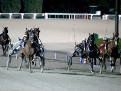 Ippodromo San Paolo di Montegiorgio