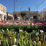 Il mercato europeo ambulante a Senigallia, edizione 2017