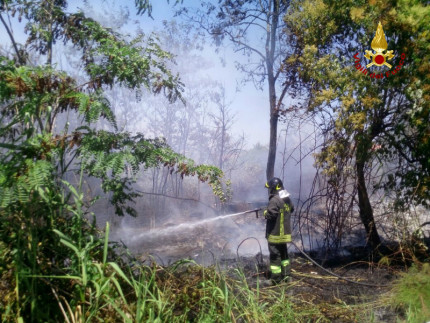 Incendio a Falconara