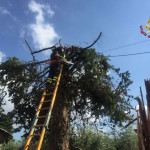 Maltempo: danni a Serra de' Conti