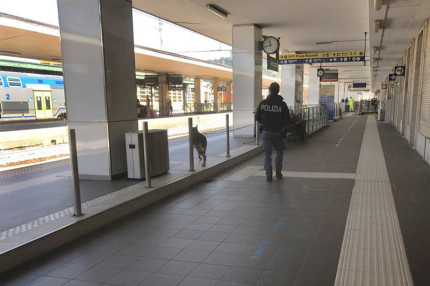 Polizia ferroviaria, Polfer, stazione ferroviaria, treni