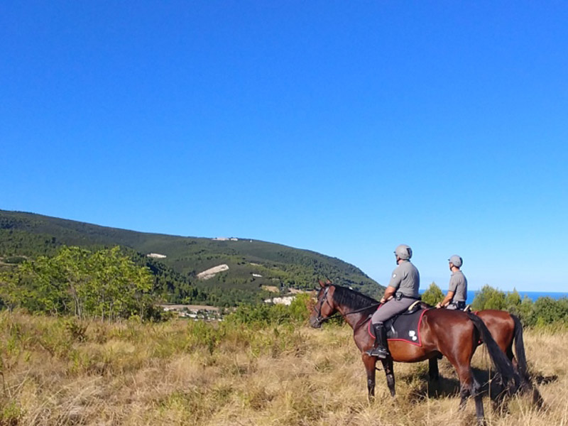 Pattuglia dei Carabinieri Forestali a cavallo in servizio sul Monte Conero, ad Ancona
