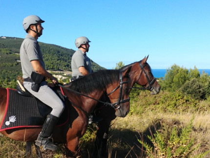 Pattuglia dei Carabinieri Forestali a cavallo in servizio sul Monte Conero, ad Ancona