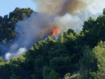 Fiamme nella pineta sopra la spiaggia di Sirolo