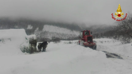 Vigili del Fuoco mettono in salvo 20 cavalli a Sassoferrato