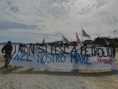 Trivelle: oltre cento in spiaggia Ancona