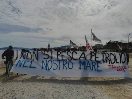 Trivelle: oltre cento in spiaggia Ancona