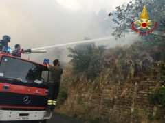 Un vasto incendio si è sviluppato sul Colle San Bartolo, nel pesarese