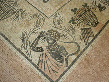Mosaico della Città Romana di Suasa