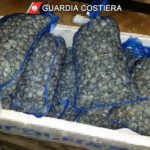 Sequestro vongole