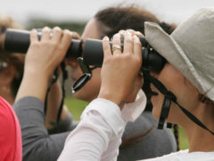 Turismo. turisti, vacanza