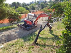 Manutenzione del parco di via Sardegna a Falconara