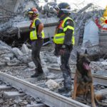 Unità cinofile tra le macerie del ponte Morandi a Genova