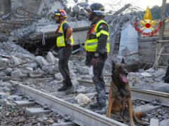 Unità cinofile tra le macerie del ponte Morandi a Genova