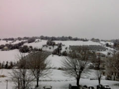 Neve a Trecastelli