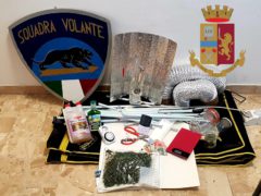Coltivazione di cannabis scoperta ad Ancona