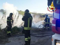 Incendio di sterpaglie a Maiolati Spontini