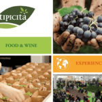 Tipicità