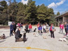 Corso rivolto a proprietari di cani a Falconara