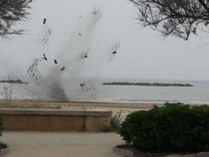 Granata fatta brillare a Senigallia