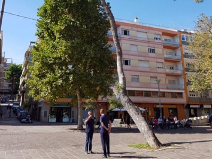 Pino pericolante rimosso a Falconara