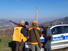 Polizia Provinciale: controlli su presenza di cinghiali