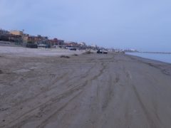 Pulizia della spiaggia di Falconara