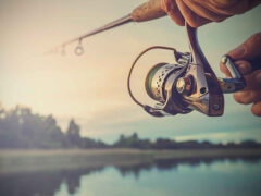 Pesca sportiva