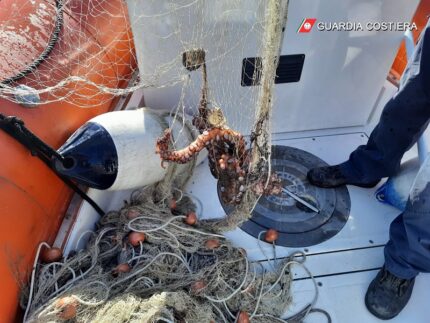 Rete da pesca sequestrata ad Ancona