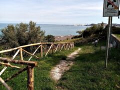 Interventi nei parchi di Ancona
