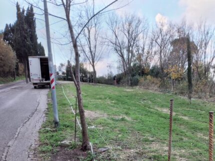 Area dove sorgerà il nuovo sgambatoio per cani a Falconara