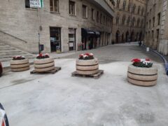 Via della Loggia ad Ancona