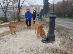 Nuova area cani realizzata a Falconara