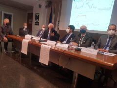 Rapporto Trend Marche