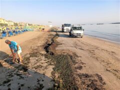 Pulizia della spiaggia di Torrette