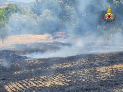 Incendio in un campo di Osimo