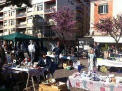 "Svuota Cantine" a Falconara