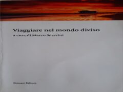 Viaggiare nel mondo diviso